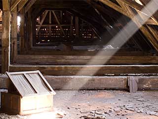 Attic Cleaning is Best to Perform before Winter | San Mateo, CA